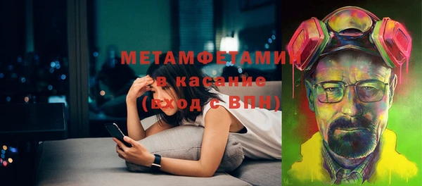 гидра Надым