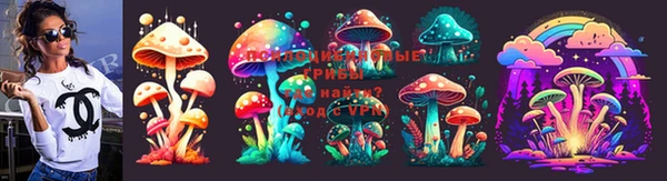 гидра Надым
