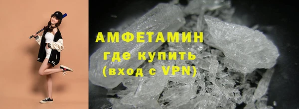 гидра Надым