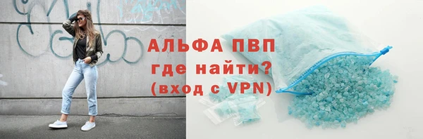 гидра Надым
