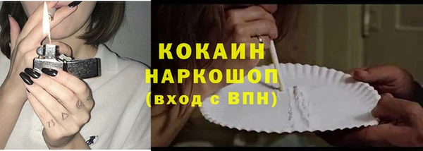 гидра Надым