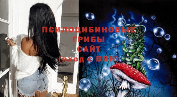 гидра Надым