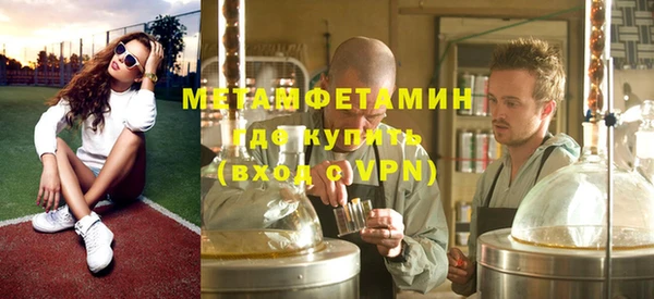 гидра Надым