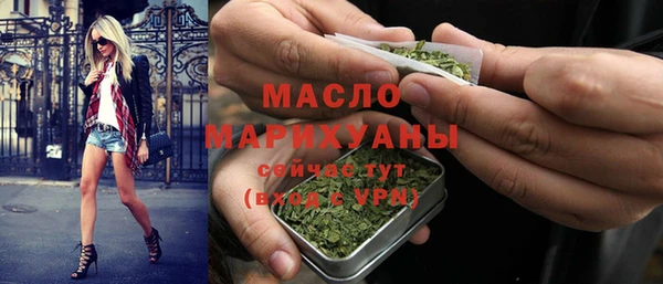 гидра Надым
