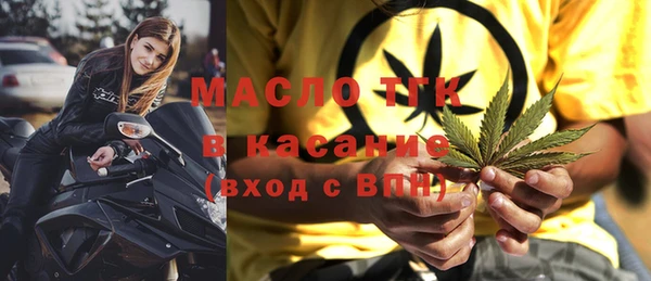 гидра Надым