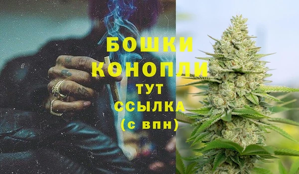 гидра Надым