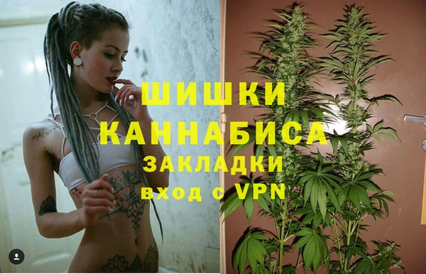 гидра Надым
